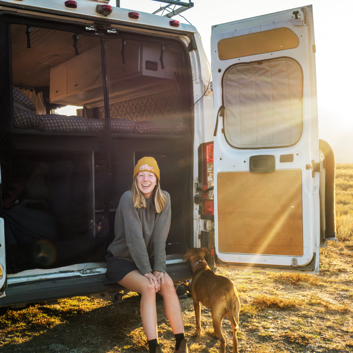 Ram Promaster Bug Screen - Rear Door