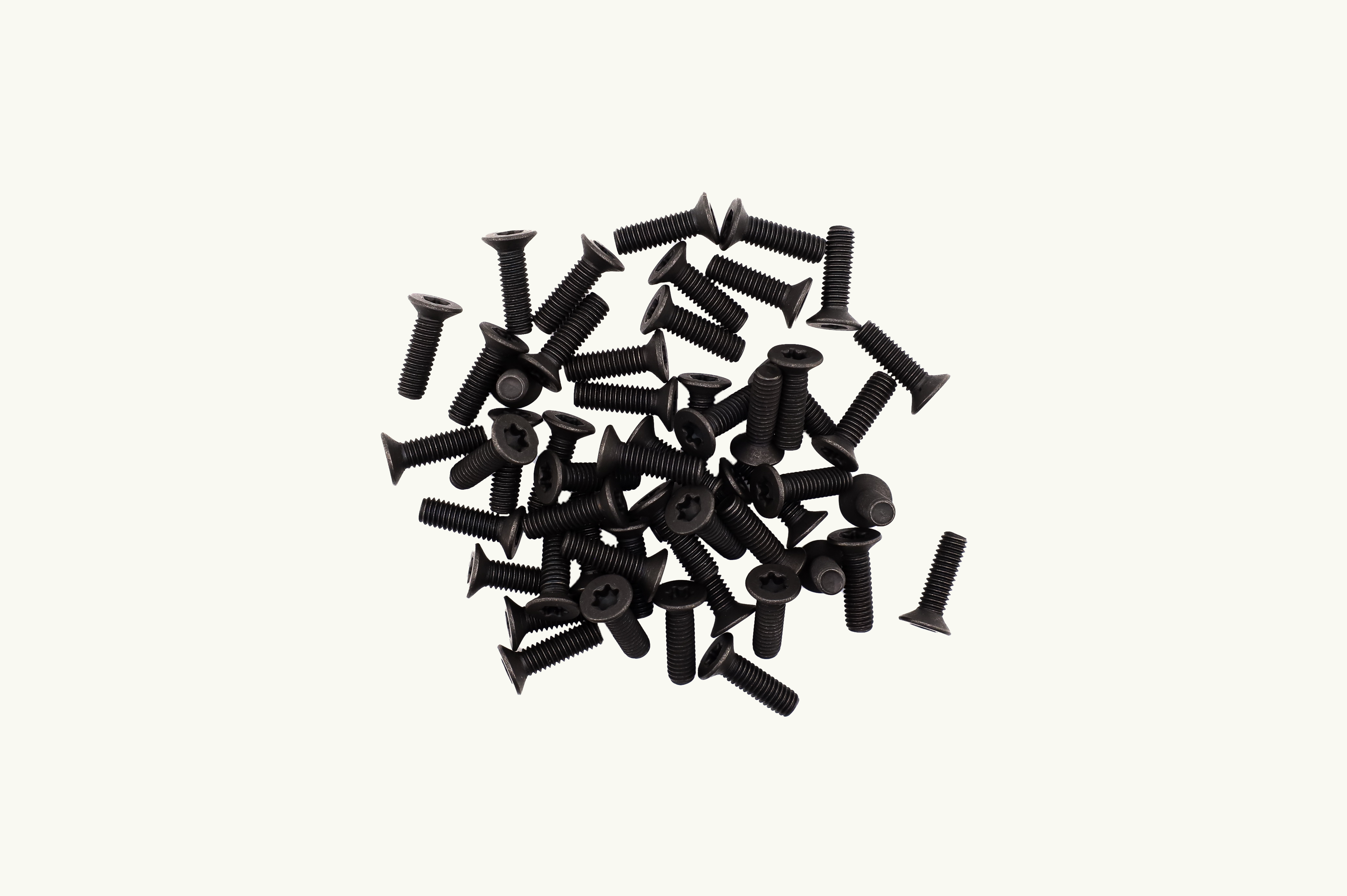 Venture L-Track M6 Machine Screws