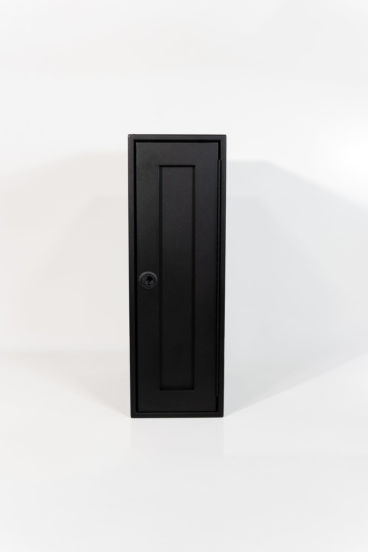 Single Door Cabinet 12"x36"x22"