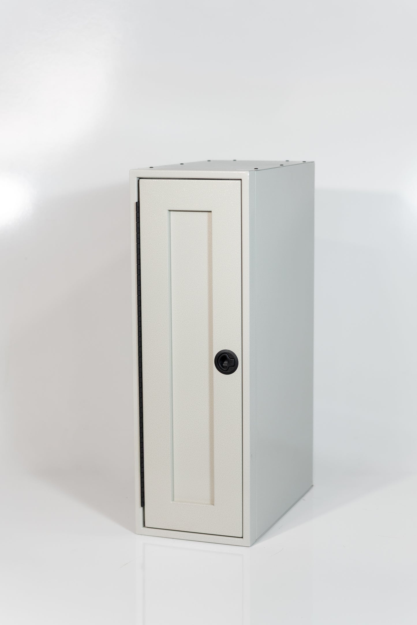 Single Door Cabinet 12"x36"x22"